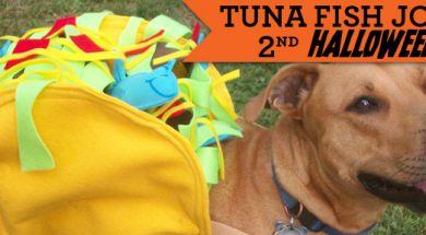 Tuna's Taco Delight | Halloween Dog Costume